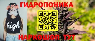 стаф Бузулук